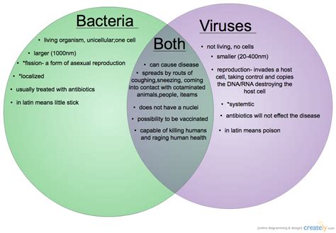 answer for how are viruses similar to living organisms